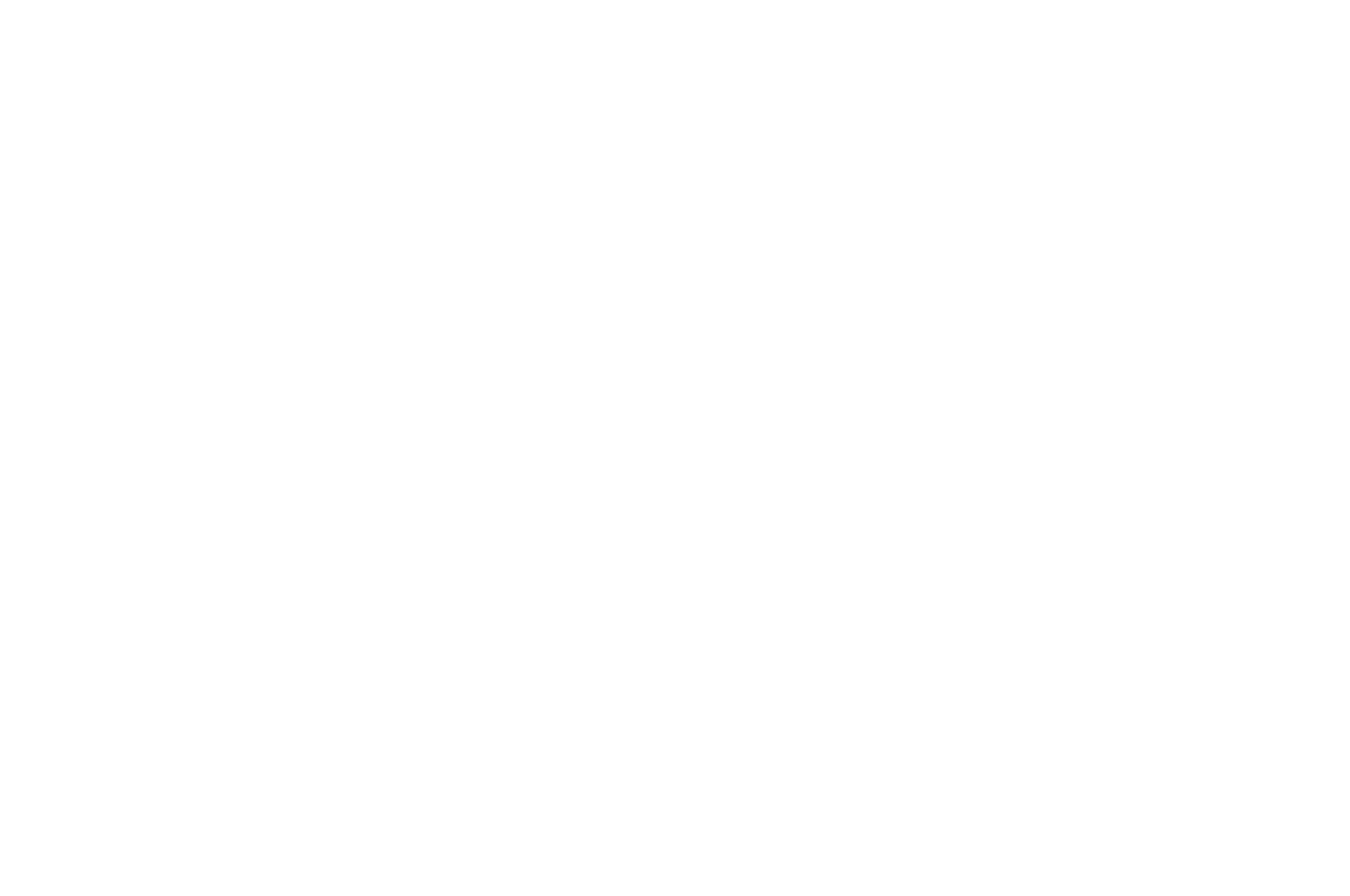 Official Selection - LIFANIMA Lagos 2024