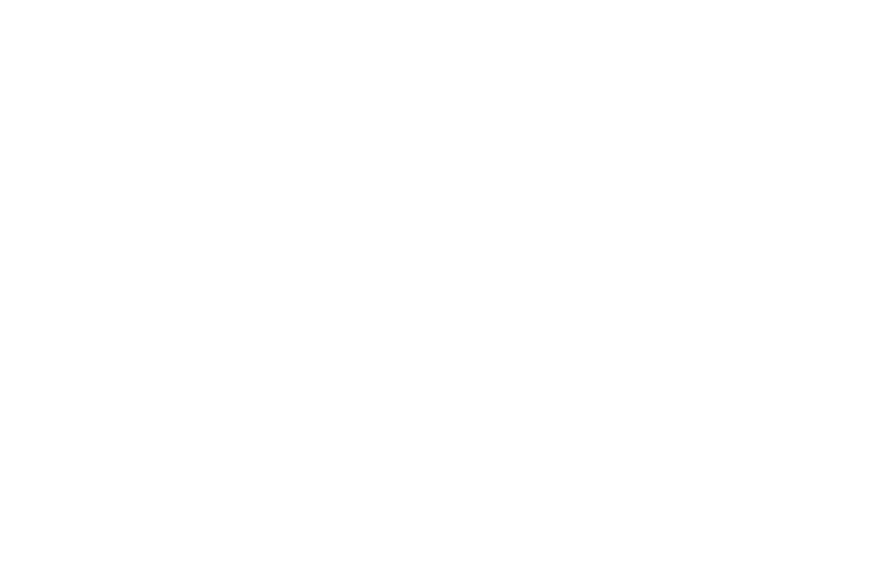 Official Selection - Reel to Reality 2024